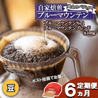 定期便6ヶ月 ブルーマウンテン(豆)ポスト投函2種 各100g[No5354-2086]