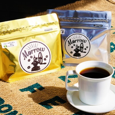 コーヒー 定期便12ヶ月 ブルーマウンテンNO.1&ブレンド各100g 粉[No5354-0435]