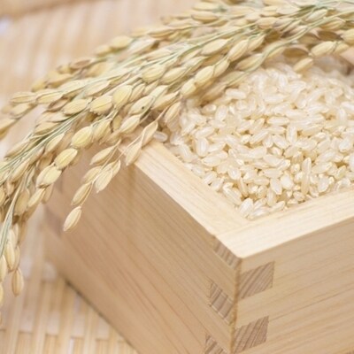 【定期便】1粒からこだわる1等級 夢つくし 玄米(20kg×3回)