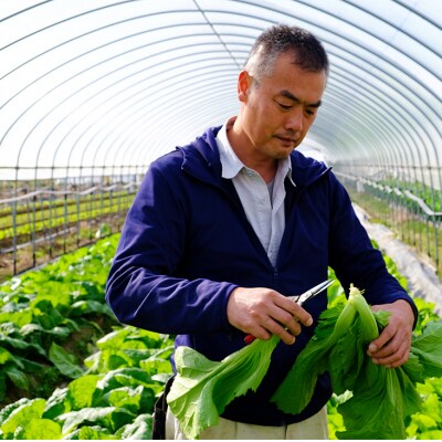 国産アジア野菜の川辺農園 季節の「中国野菜」セット【レシピ付】