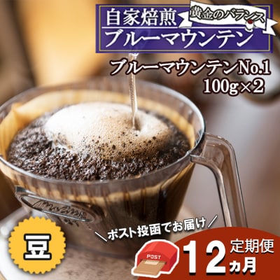 コーヒー 定期便12ヶ月 ブルーマウンテン ストレート 100g×2 豆[No5354-0428]