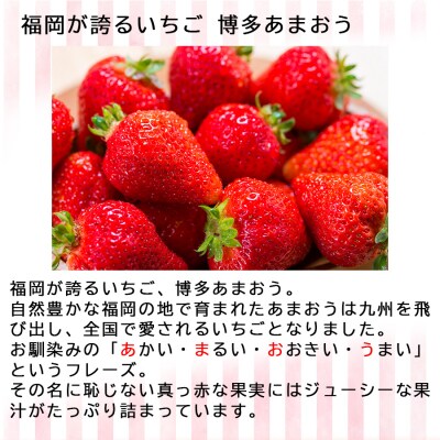 博多あまおう デラックス&グランデ 4p【申込:2026年2月10日迄】[No5354-0903]