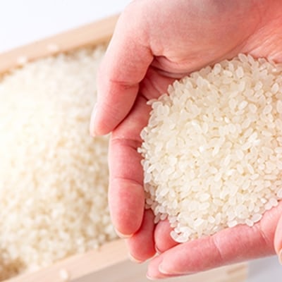 米 2kg れんげ栽培 恋華米 精米 コメ 白米[No5354-0344]