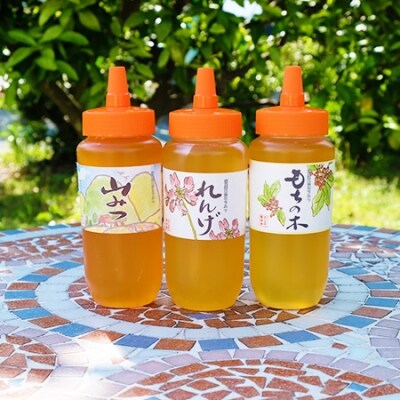 国産天然純はちみつ 500g×3(もちのき、やまみつ、れんげ)