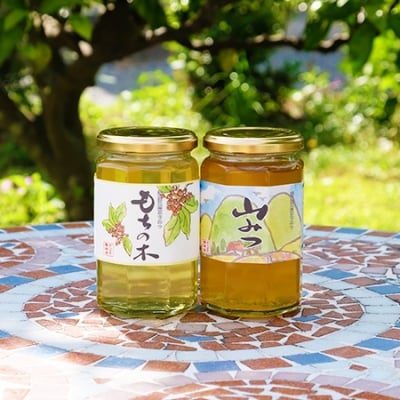国産天然純はちみつ 370g×2本セット(やまみつ、もちのき)