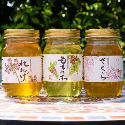 国産天然純はちみつ600g×3本セット(さくら、もちのき、れんげ)