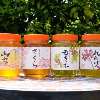 国産天然純はちみつ 1kg×4本セット(さくら、もちのき、やまみつ、れんげ)