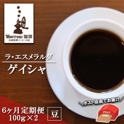 コーヒー 定期便6ヶ月 高品質 珈琲の一つ ゲイシャ 100g×2 豆[No5354-0426]