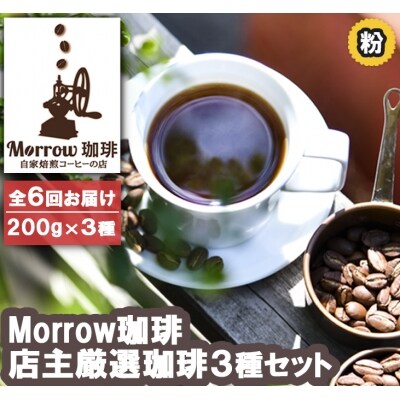 コーヒー 定期便6ヶ月 元珈琲嫌いの店長が送る 人気TOP3 セット 粉[No5354-0389]