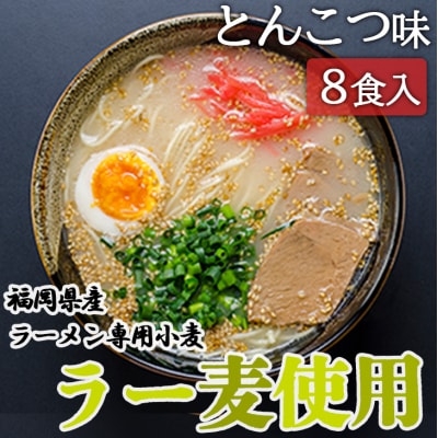 ラーメン 福岡県産 ラー麦使用 とんこつラーメン 8食入 たなばたの里[No5354-0384]