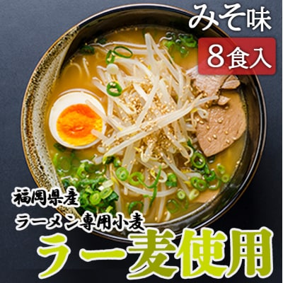ラーメン 福岡県産 ラー麦使用 みそラーメン 8食入 たなばたの里[No5354-0385]