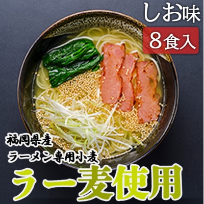 ラーメン 福岡県産 ラー麦使用 しおラーメン 8食入 たなばたの里[No5354-0386]