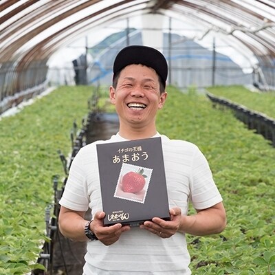 いちご 1月配送 しあわせもん あまおう 化粧箱 1箱 いちご職人[No5354-0575]