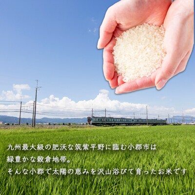 定期便 6回 福岡県産 米 夢つくし 精米5kg×6ケ月[No5354-0912]