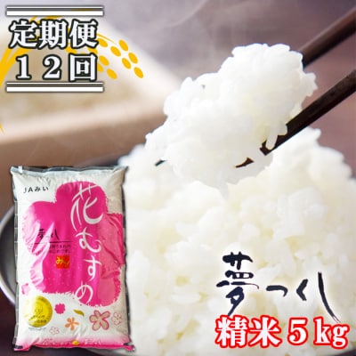 定期便 12回 福岡県産 米 夢つくし 精米5kg×12ケ月[No5354-0911]