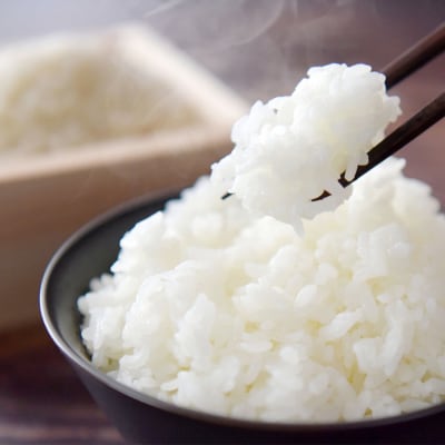 定期便 12回 福岡県産 米 夢つくし 精米5kg×12ケ月[No5354-0911]