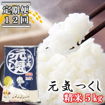 定期便 12回 福岡県産 米 元気つくし 精米 5kg×12ケ月[No5354-0909]