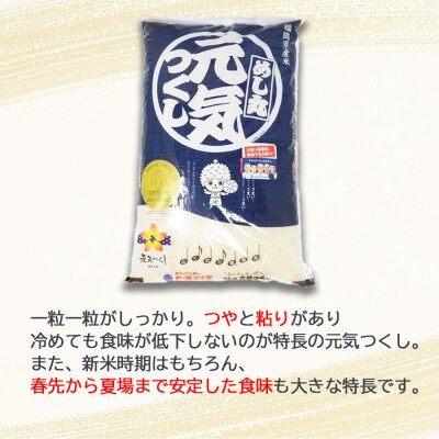 定期便 12回 福岡県産 米 元気つくし 精米 5kg×12ケ月[No5354-0909]