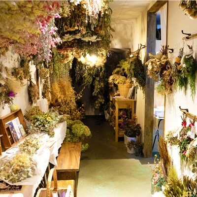 オーガニックルームフレグランスとドライフラワー 紫苑色 お礼品詳細 ふるさと納税なら さとふる