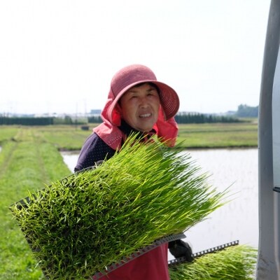 たるみ農園　自然農法で育てたお米(玄米)2kg　【28年以上栽培期間中:農薬/肥料不使用】