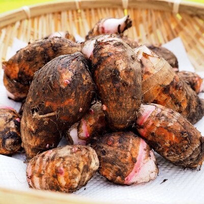 ゆうき自然農場 小郡産の里芋 赤芽大吉 2 5kg ふくおかエコ農産物認証 お礼品詳細 ふるさと納税なら さとふる