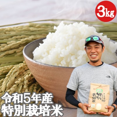 米 たごもり農園 特別栽培米夢つくし 3kg 小郡産 栽培期間中農薬不使用[No5354-0842]
