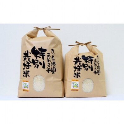 米 たごもり農園 特別栽培米夢つくし 5kg 小郡産 栽培期間中農薬不使用[No5354-0843]