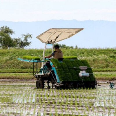 米 たごもり農園 特別栽培米夢つくし 5kg 小郡産 栽培期間中農薬不使用[No5354-0843]