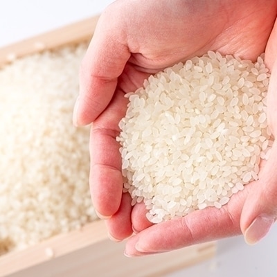 【定期便】1等級米 1粒からこだわる にこまる 白米(5kg×6回)