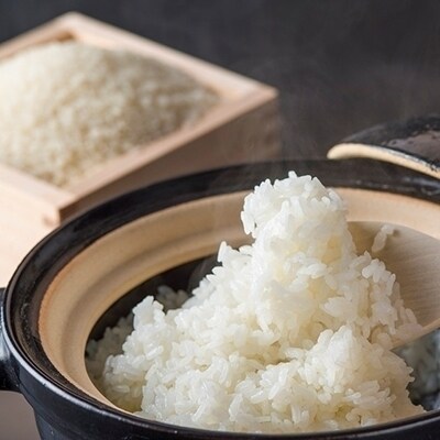 【定期便】1等級米 1粒からこだわる にこまる 白米(5kg×6回)