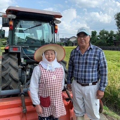 定期便6回 1粒からこだわる1等級米 にこまる 玄米(10kg×6回)[No5354-0653]