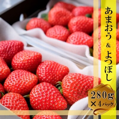 いちご あまおう&よつぼし 各2パックセット(280g×4)[No5354-0463]