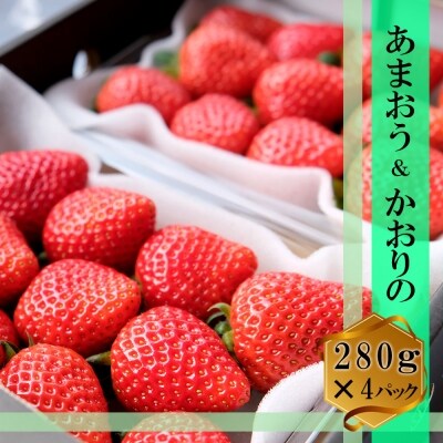 いちご あまおう&かおりの 各2パックセット(280g×4)[No5354-0465]