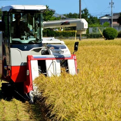 定期便6回 昔ながらの有機れんげ栽培 「恋華米」 5kg×6カ月[No5354-0891]