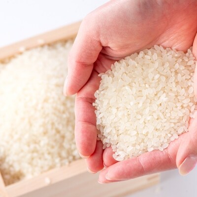 定期便12回 1等級米 真空パック無洗米ヒノヒカリ3合(450g)×20袋[No5354-0662]