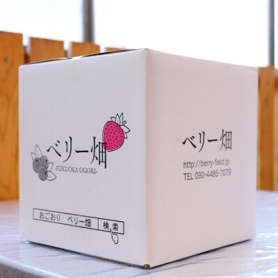 いちご 冷凍いちご 500g×2 福田ファーム[No5354-0466]