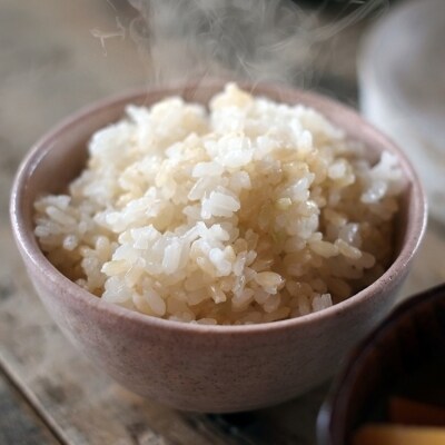 定期便12回 1等級米 真空パック玄米 ヒノヒカリ2合(300g)×20袋[No5354-0666]