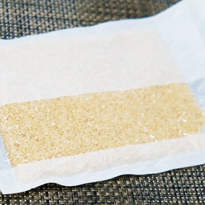 定期便12回 1等級米 真空パック 玄米ヒノヒカリ3合(450g)×10袋[No5354-0669]