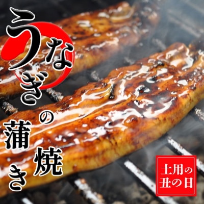 【土用の丑の日】創業40年 職人こだわりの「備長炭で手焼き」 うなぎの蒲焼き 2尾　秘伝のたれ