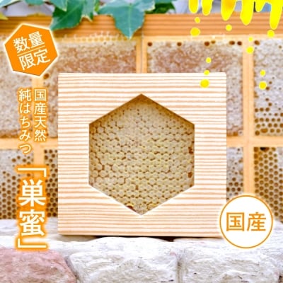 天然 国産 純はちみつ 巣蜜 約250g前後[No5354-0902]