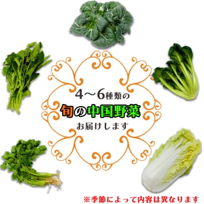 【全6回定期便】レシピ付き!川辺農園の季節の中国野菜セット<奇数月にお届け>国産 中華野菜　