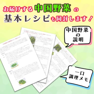 【全6回定期便】レシピ付き!川辺農園の季節の中国野菜セット<奇数月にお届け>国産 中華野菜　
