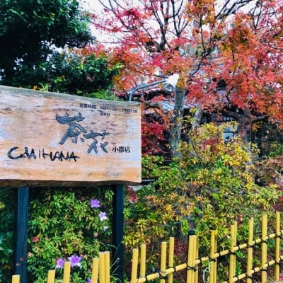 食事券 3枚 古民家×小皿会席 遊食工房 茶花 (CHAIHANA)[No5354-0279]