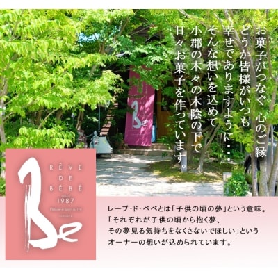 レーブ・ド・ベベ こだわりのスフレチーズケーキ「かぐや月」5個入[No5354-0679]