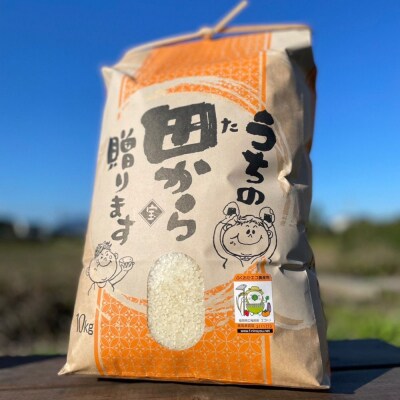 米 10kg 行徳農園のお米 ひのひかり 筑後小郡産 農家直送 お米 コメ[No5354-0276]