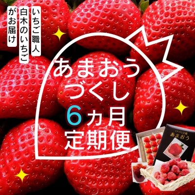 定期便6ヶ月 いちご いちご職人 白木のいちご あまおうづくし[No5354-0586]