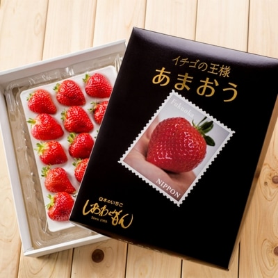 定期便6ヶ月 いちご いちご職人 白木のいちご あまおうづくし[No5354-0586]