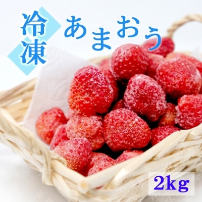 定期便6ヶ月 いちご いちご職人 白木のいちご あまおうづくし[No5354-0586]