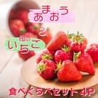 白木のいちご 「あまおう2P」と「旬のいちご2P」食べ比べセット[No5354-0587]