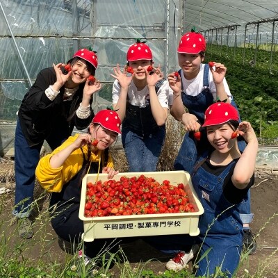 焼き菓子 外はさっくり中はしっとり あまおう マカロン 10個入り[No5354-0514]